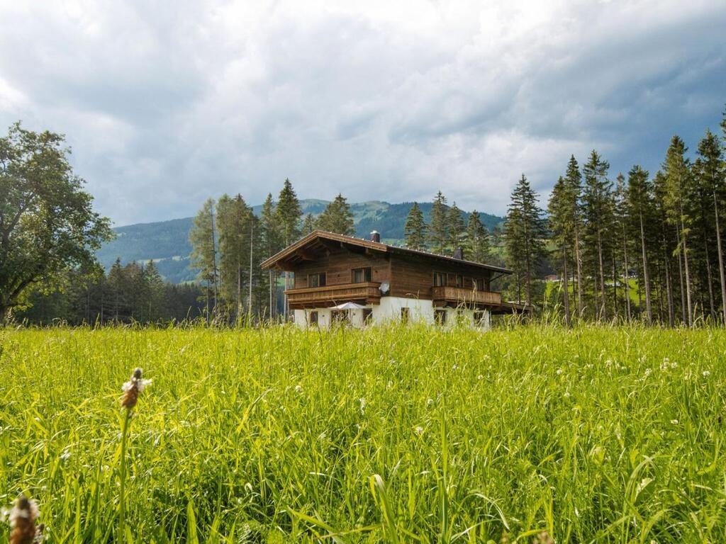 Chalet Freiblick Kleinhaid, Hollersbach Hollersbach im Pinzgau Buitenkant foto